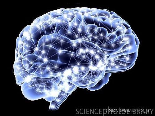 認(rèn)識(shí)神經(jīng)網(wǎng)絡(luò) 從神經(jīng)元到深度學(xué)習(xí) 全面清晰易懂